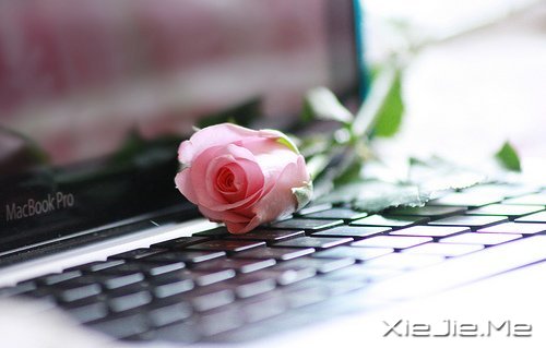 不要轰轰烈烈，只求安安心心 (5)