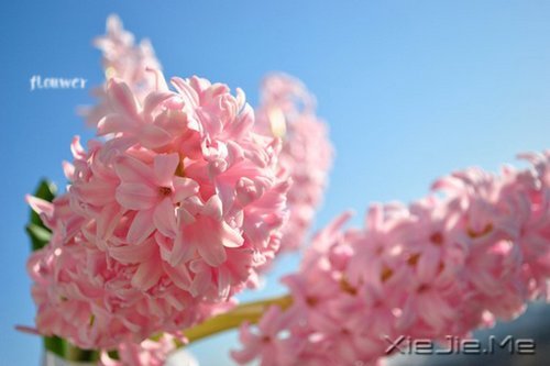 最深的孤独不是一片黑暗，而是你只能看到自己 (4)